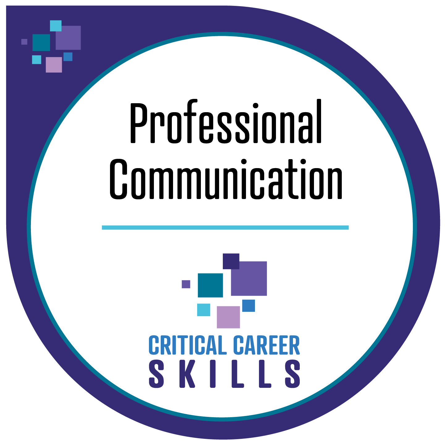 Professional Communication